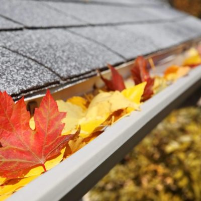 Protect Your Gutters From Fall Leaves